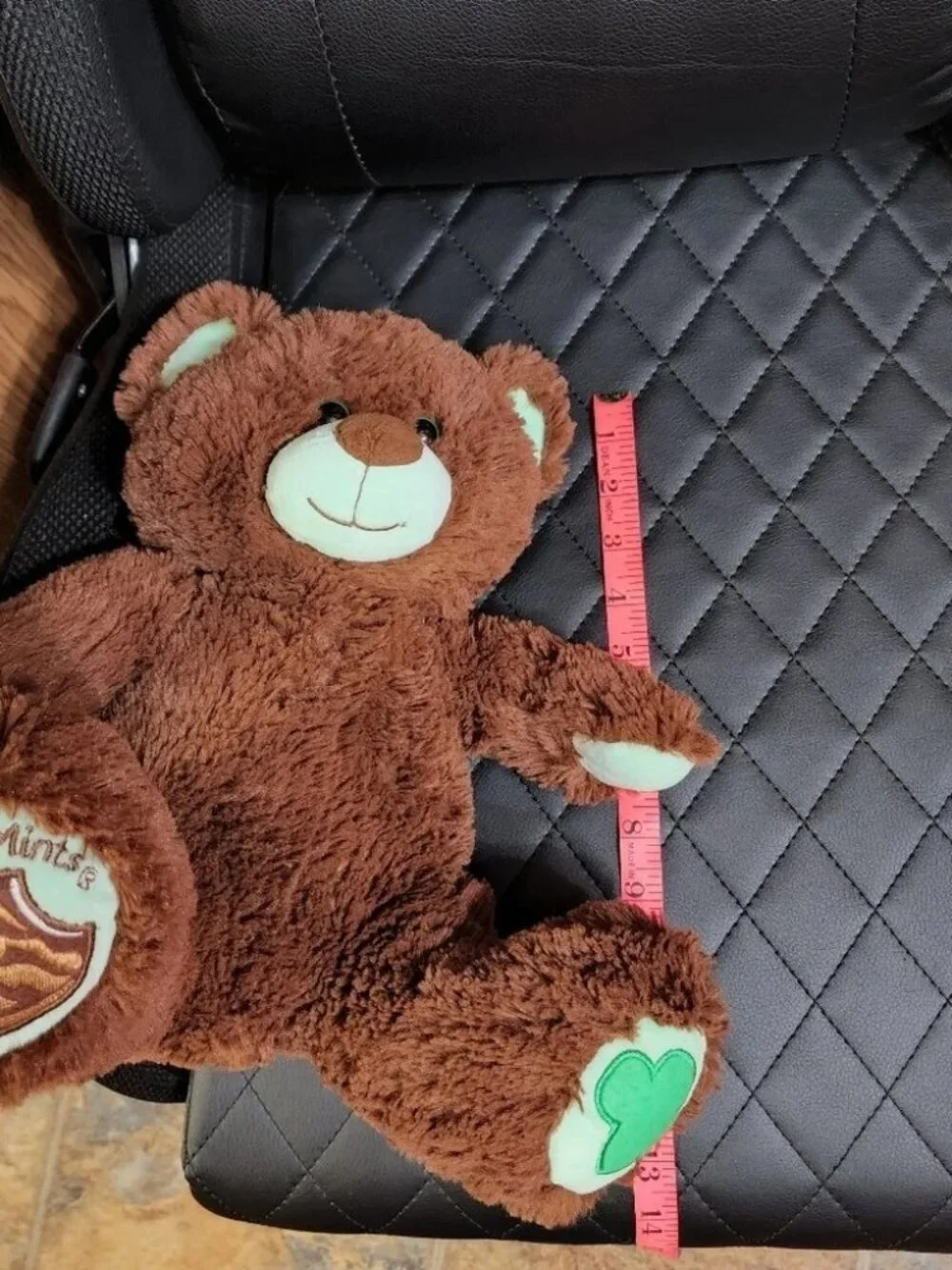 Build-A-Bear Workshop Girl Scouts Thin Mints Cookie Bear P5
